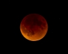 Super Blood Moon